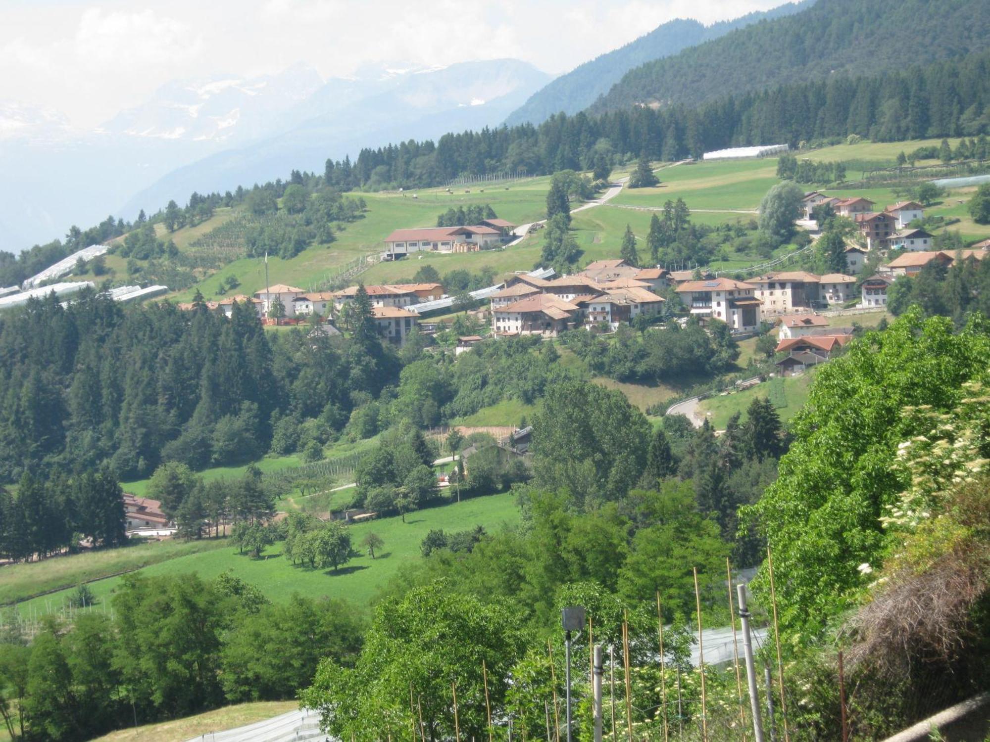 Agriturismo Pisani Brez Exterior foto